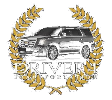 Driver 1 Transportation logo